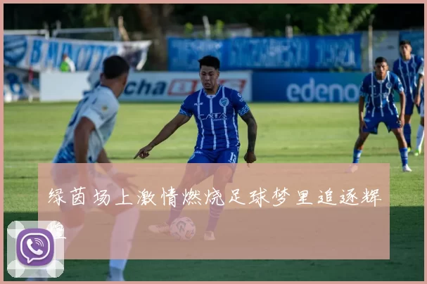 绿茵场上激情燃烧足球梦里追逐辉煌